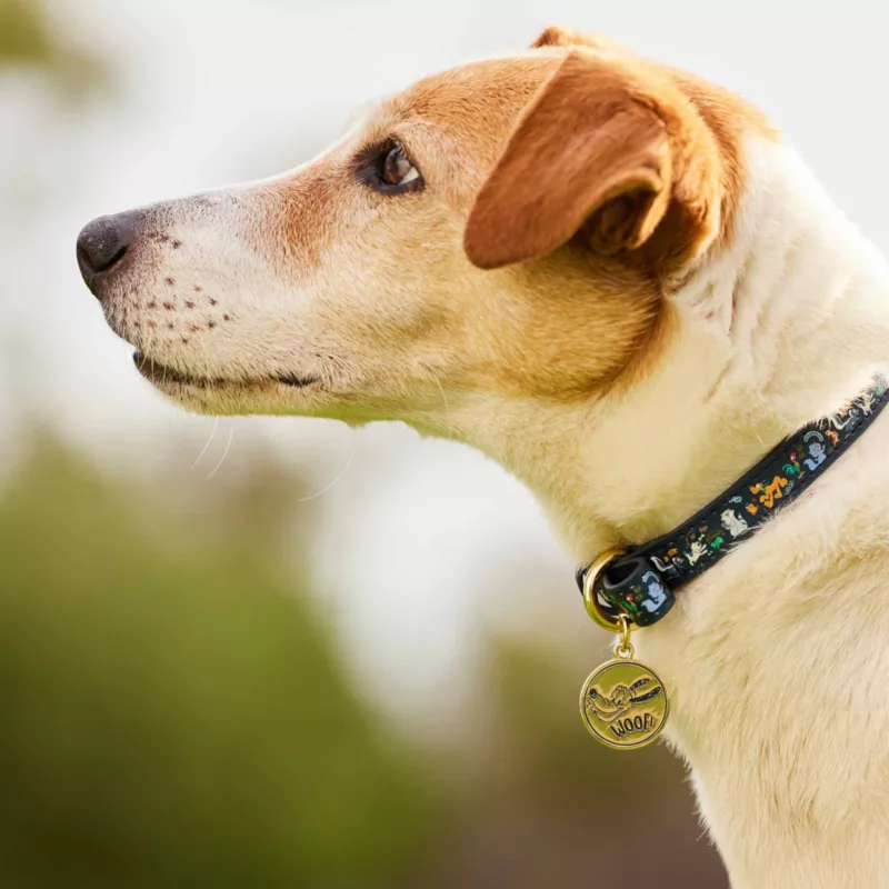 Disney Critters Dog Collar 4 Disney Critters Dog Collar - Image 2